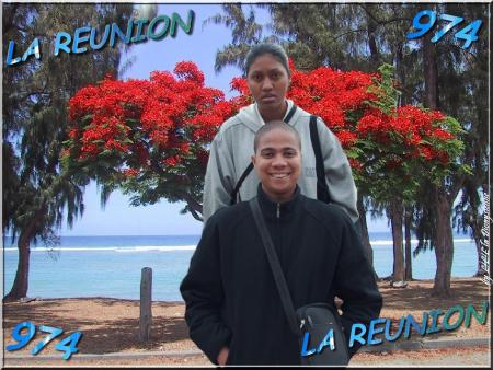 Montage By M